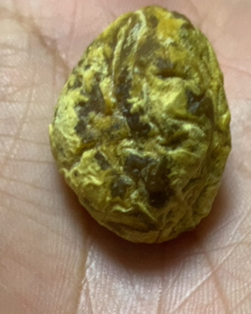 鸡宝一个