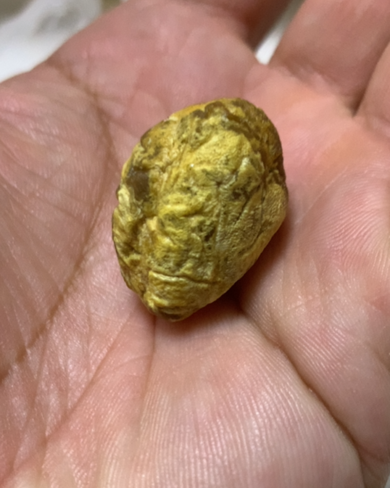鸡宝一个