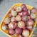 宾川红将军苹果，口感很好