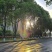 云南蜜橘🍊特早蜜橘10万斤🍊