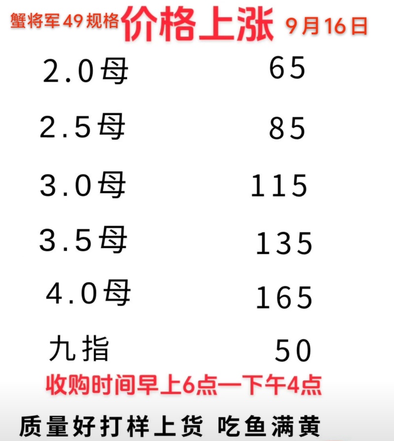 六月黄低至16元起成熟蟹低至33元起菜场商超供应链