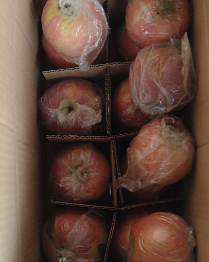多品种苹果