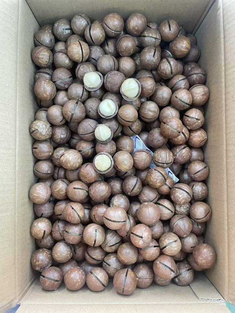夏威夷果新货奶香味坚果炒货休闲零食夏威夷果奶油味