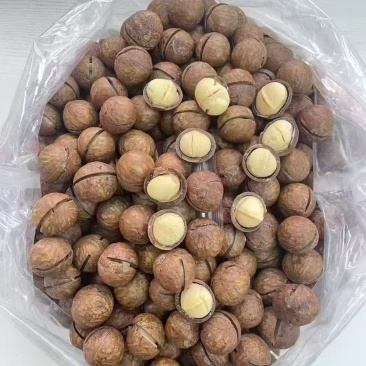 夏威夷果新货奶香味坚果炒货休闲零食夏威夷果奶油味
