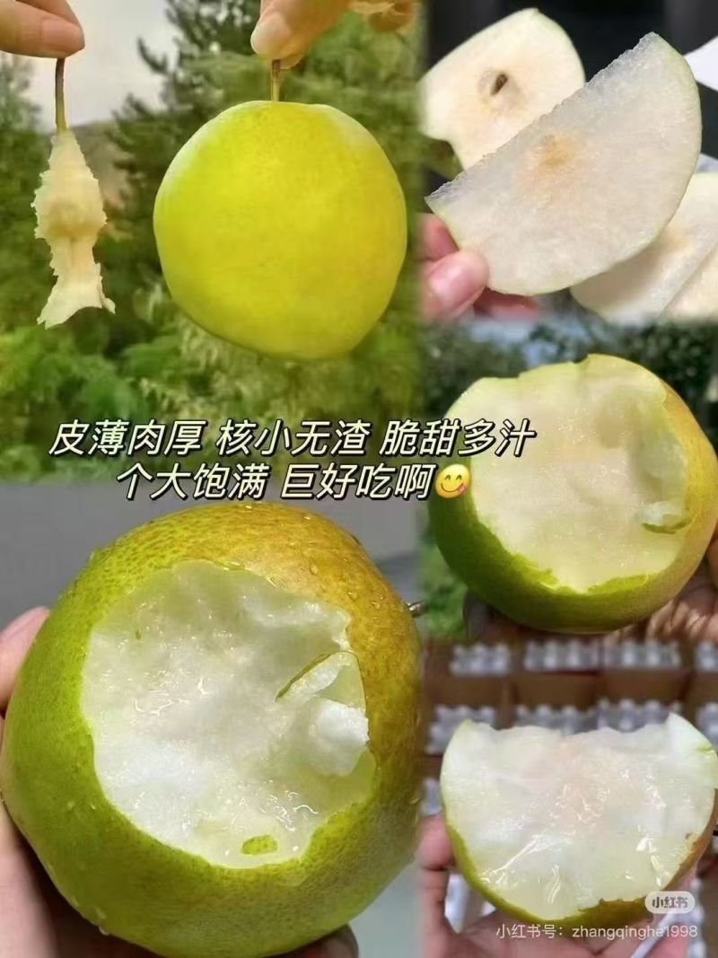 隰县玉露香通货75起步