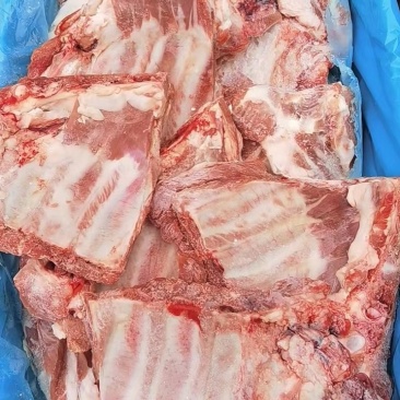 多肉猪小排大量现货量大从优