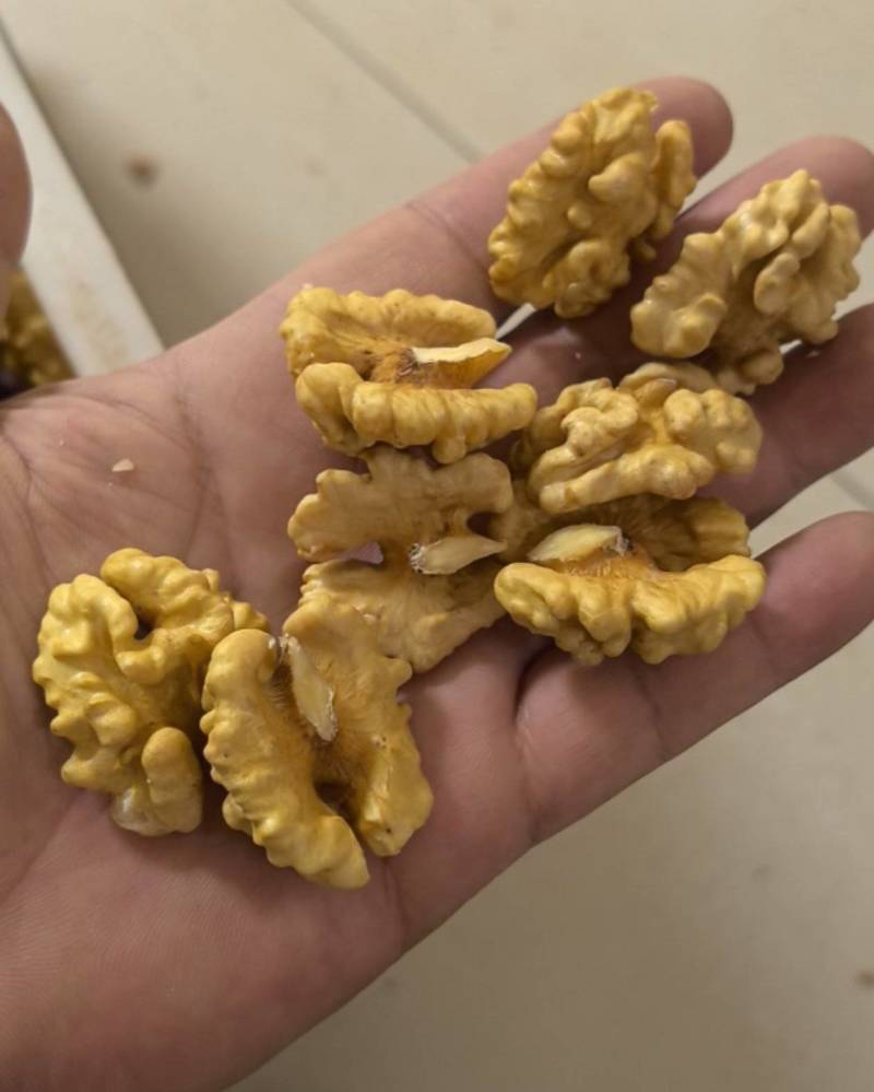 新疆185核桃仁尖白尖普