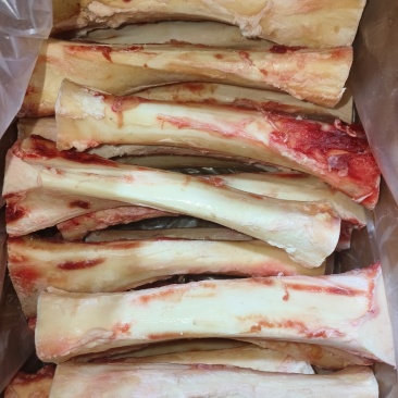 锯段牛棒骨