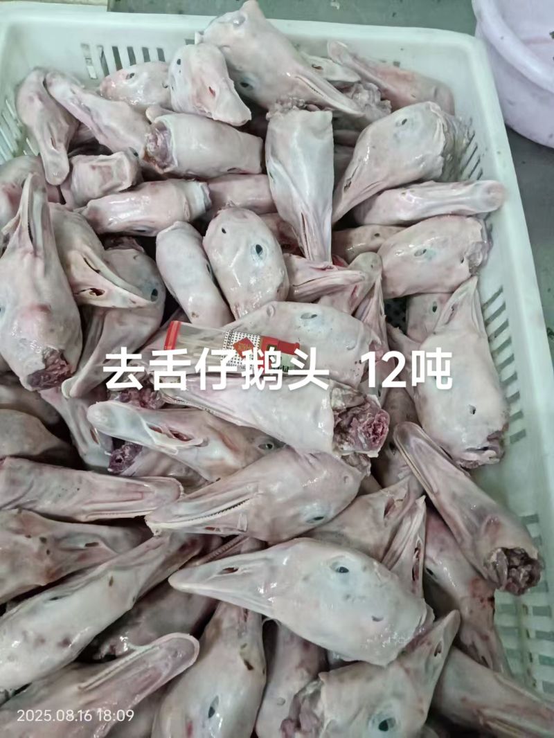 去舌仔鹅头12吨