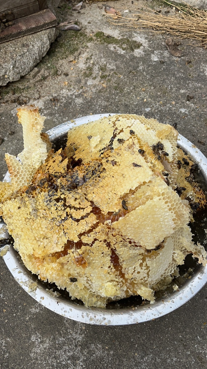 自家土蜂蜜