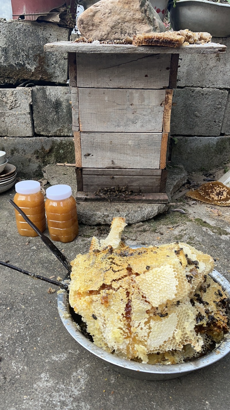自家土蜂蜜