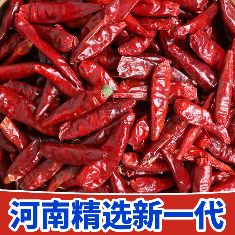 河南新一代