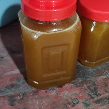 自家养的蜂蜜