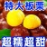 辽宁丹东板栗，大量现货，可一件代发，可走整车，可代办。