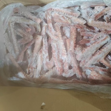 一级鹅翅