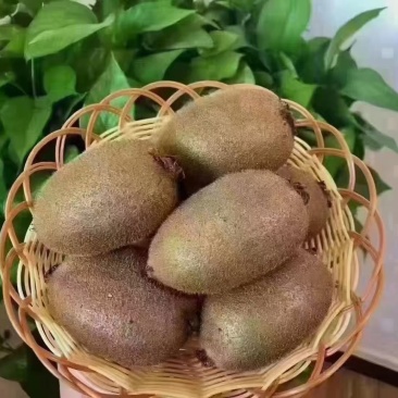 翠香猕猴桃