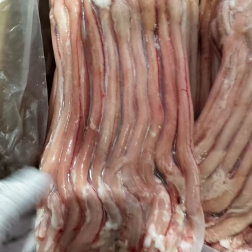 羊鞭