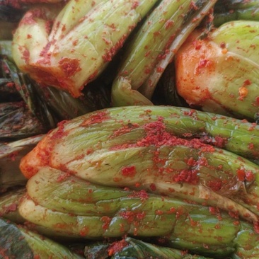 市级非遗传承新平腌菜