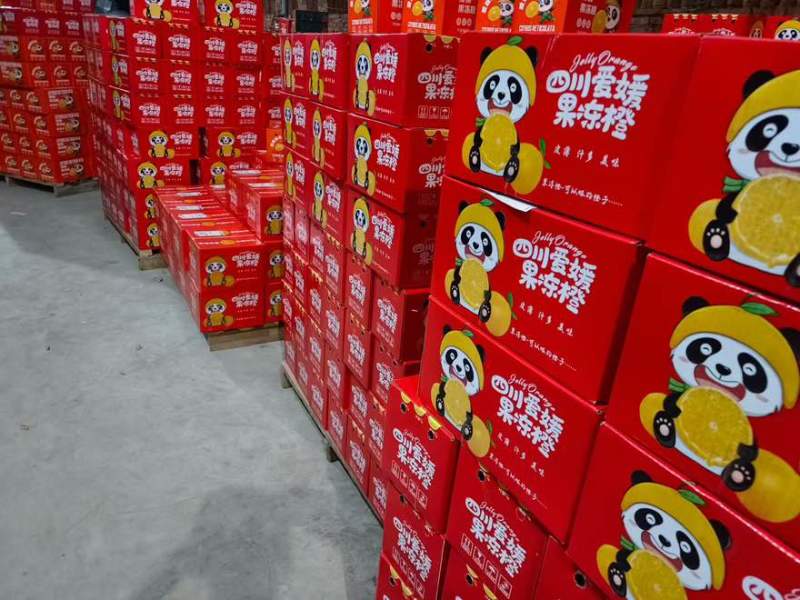 四川爱媛果冻橙高品质产地直发支持全平台一件代发