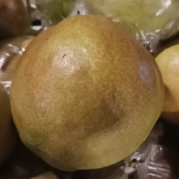 玉露香梨，无渣，核小。