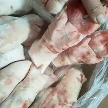 母猪二级猪蹄，18600一吨