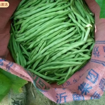 豆角