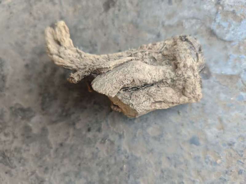 云木香晒干货现货