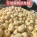 宁陵酥梨产区开园货源充足果园现摘现发
