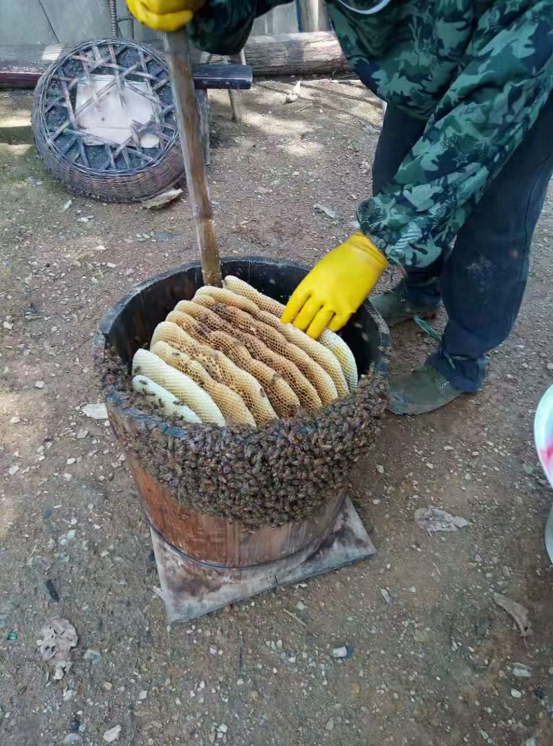 农村土蜂蜜🍯