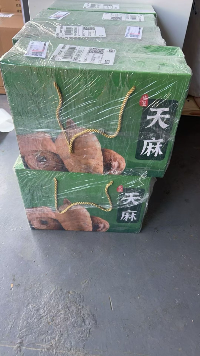 天麻