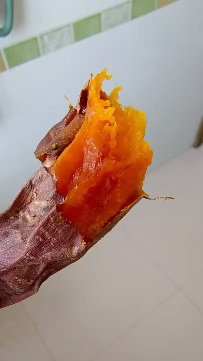 烟薯25地瓜