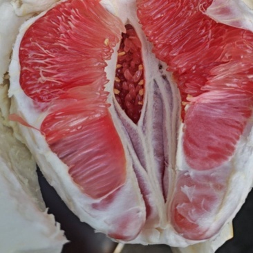 梅州红肉蜜