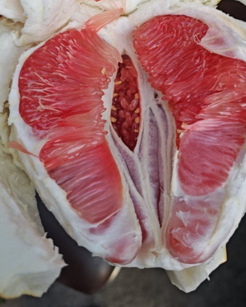 梅州红肉蜜