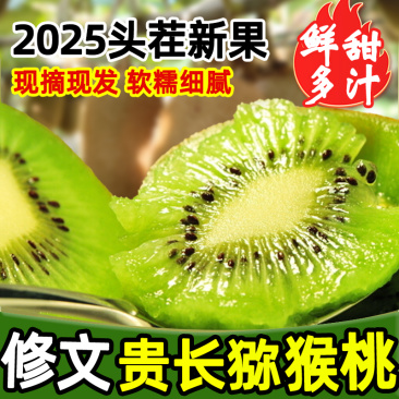 修文贵长猕猴桃