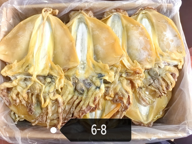 福建淡水特大墨鱼干