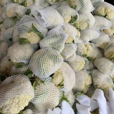 松花菜小米粒个头不大