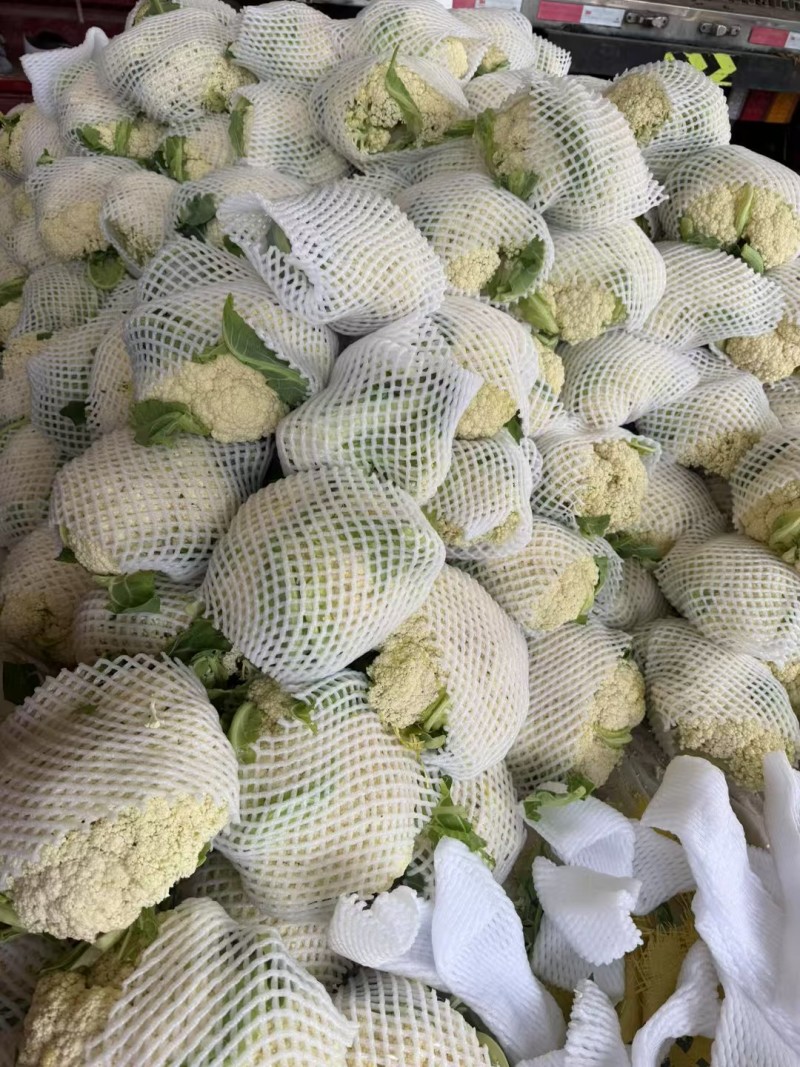 松花菜小米粒个头不大
