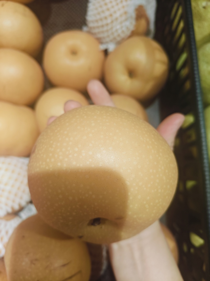 秋月梨
