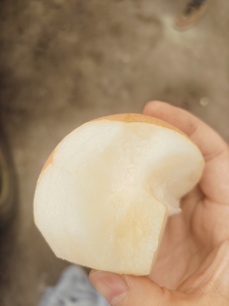 秋月梨