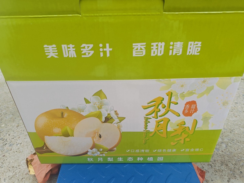 秋月梨