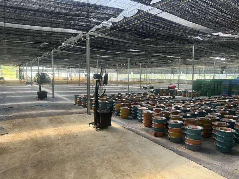 广东竹虫养殖基地，面向全国供应竹虫，活动体竹虫都可以