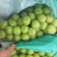 阳光玫瑰