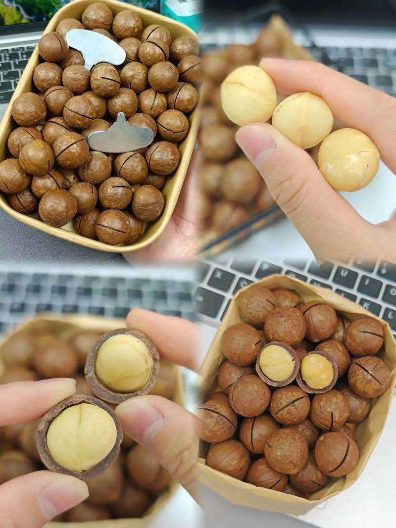夏威夷果