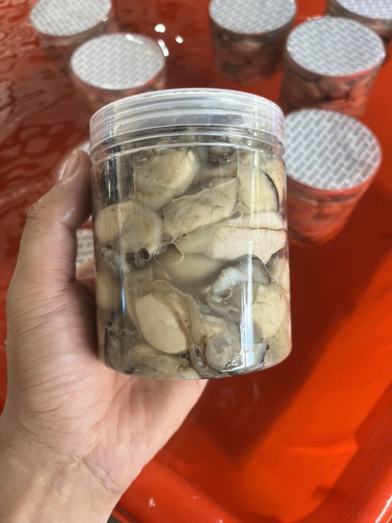福建宁德霞浦海蛎无泡水***
