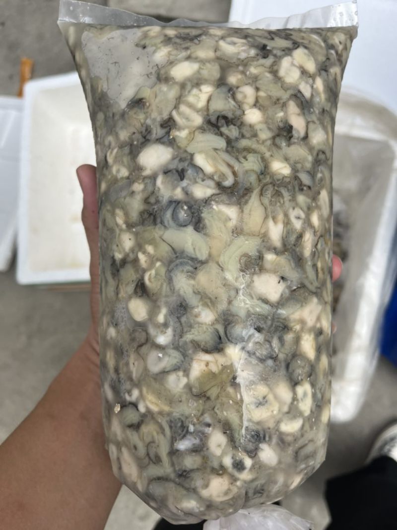 福建宁德霞浦海蛎无泡水***