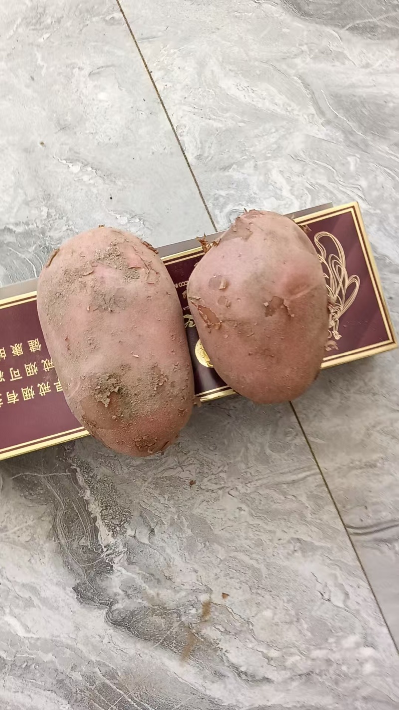 土豆