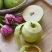小金青苹果🍏