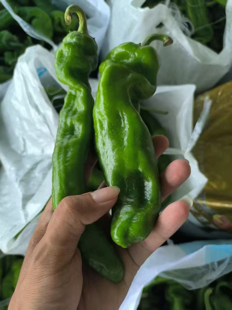 品质好