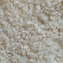 宁河大米