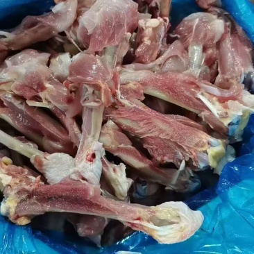老鸡腿骨20吨